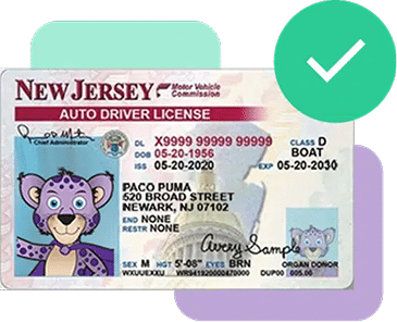 New Jersey auto driver license for Paco Puma, with issue date 05-20-2020 and expiration date 05-20-2030